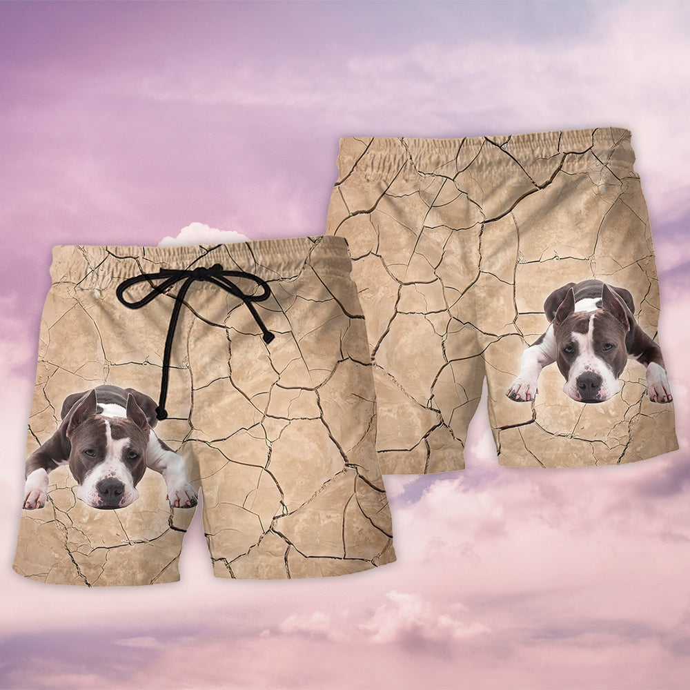 Pitbull On The Ground - Beach Short - Owls Matrix LTD