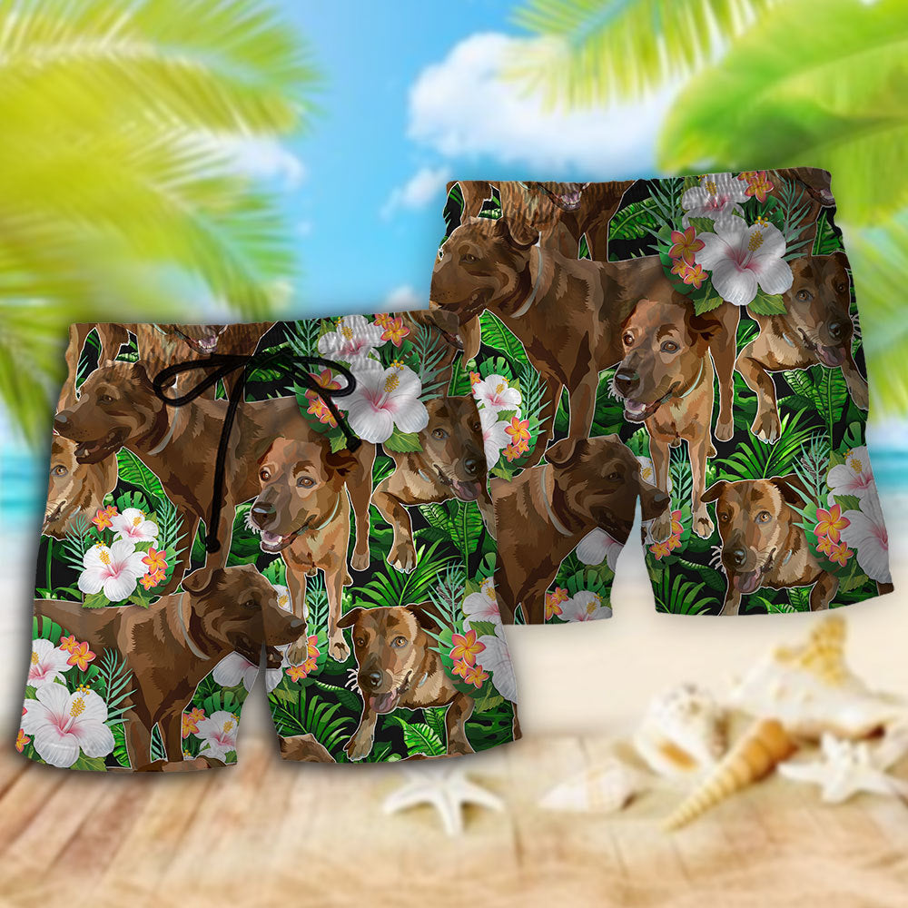 Rhodesian Ridgeback Tropical Floral Dog – Beach Short