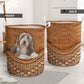 Bearded Collie Dog Rattan Teaxture - Laundry Basket - Owls Matrix LTD