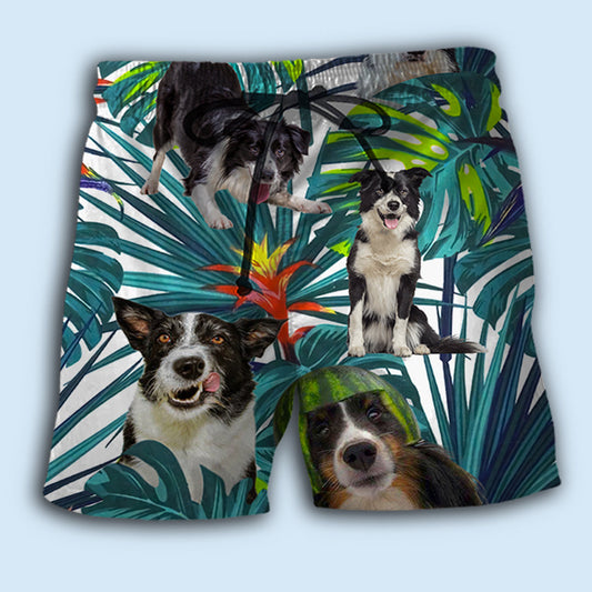 Border Collie Tropical Leaf Dog Lover – Beach Short