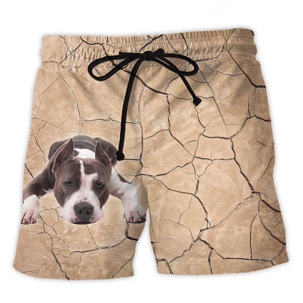Pitbull Dog Fun – Beach Short