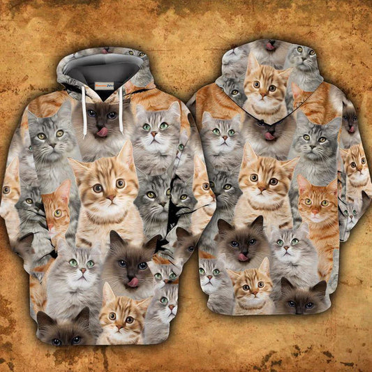 Cats In My Heart Art – 3D Hoodie