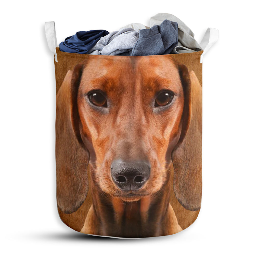 Dachshund Face And Butt So Cute - Laundry Basket - Owls Matrix LTD