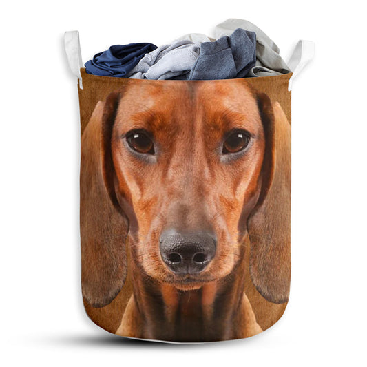 Dachshund Face And Butt So Cute - Laundry Basket - Owls Matrix LTD