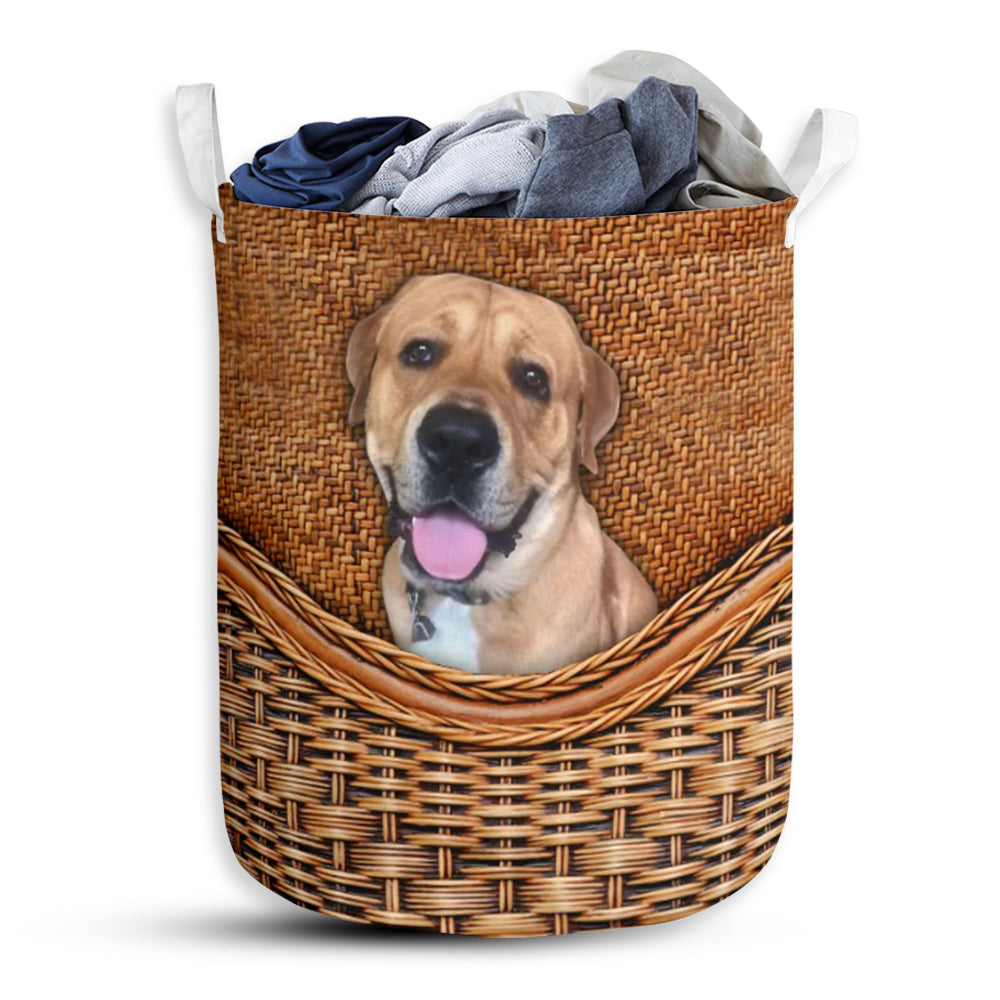 Dog Rattan Teaxture Lovely Life - Laundry Basket - Owls Matrix LTD