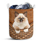 Ragdoll Cat Rattan Teaxture - Laundry Basket - Owls Matrix LTD