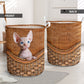 Sphynx Cat Rattan Teaxture - Laundry Basket - Owls Matrix LTD