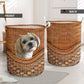 Tina Dog Rattan Teaxture - Laundry Basket - Owls Matrix LTD