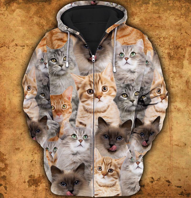 Cats In My Heart Art – 3D Hoodie